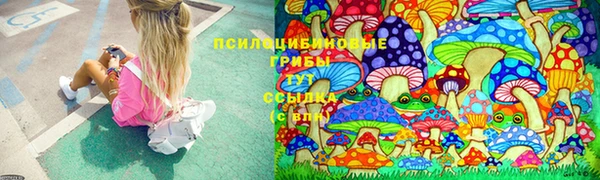 круглые Рославль