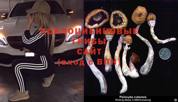 мескалин Богданович