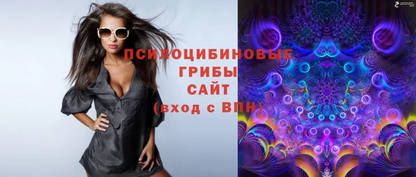 спайс Богородск