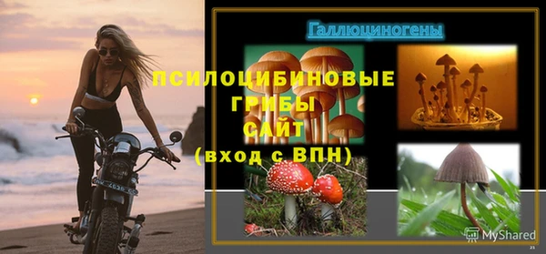 мескалин Богданович
